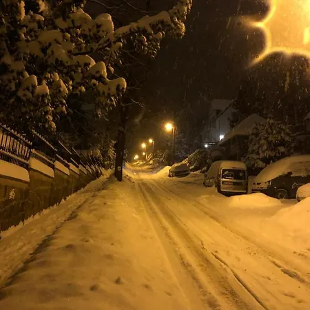 Fewo-liza 베르니게로데